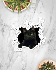 Black Cat Crack Sticker - 2 pack (Horizontal) aos-sticker-2-pack-horizontal-lifestyle-front-06