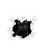 Black Cat Crack Sticker - 2 pack (Horizontal) front