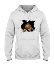 Baby Sloth Crack Hooded Sweatshirt tile
