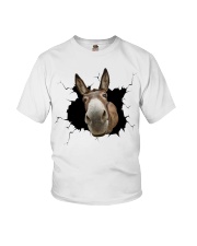 Donkey Crack Youth T-Shirt tile