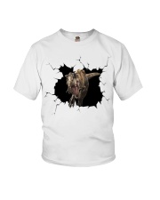 Dinosaur Cracked Youth T-Shirt tile