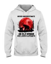 Old Woman Who Loves Elephants Hooded Sweatshirt tile
