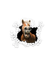 Horse Crack 2 Sticker - 2 pack (Horizontal) front