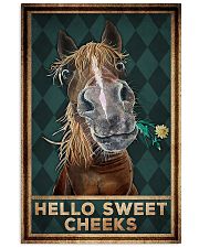 Horse - Hello Sweet Cheeks 11x17 Poster front