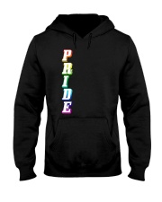 Gay Pride Rainbow Outline Not Straight Vertical LG Hooded Sweatshirt thumbnail