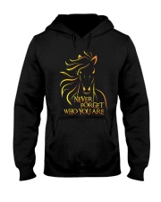 Who You Are Hooded Sweatshirt thumbnail