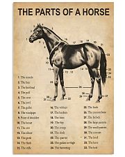 The Parts Of A Horse 11x17 Poster front