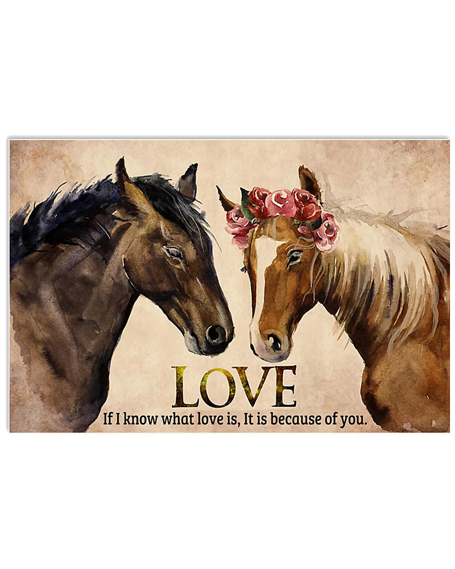 Horse Couple 17x11 Poster