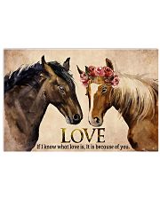 Horse Couple 17x11 Poster front