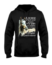 A Horse Is Not Just A Horse Hooded Sweatshirt thumbnail
