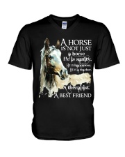 A Horse Is Not Just A Horse V-Neck T-Shirt thumbnail