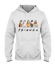 Horse Friends Hooded Sweatshirt tile