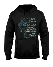 A Beautiful Place Hooded Sweatshirt thumbnail