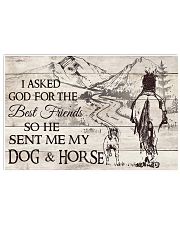My Dog And Horse 17x11 Poster front