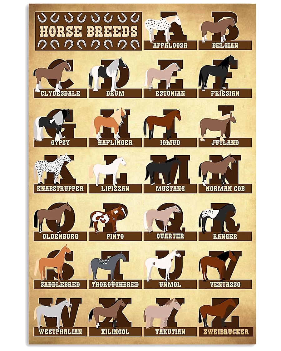 Horse Breeds 11x17 Poster