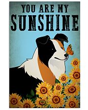 Dog Border Collie You Are My Sunshine 16x24 Poster front