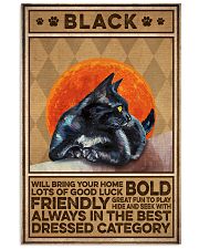 Cat Black 16x24 Poster front