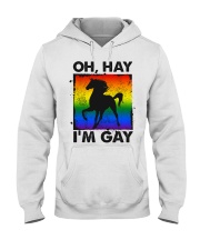 LGBT Oh Hay I'm Gay Hooded Sweatshirt front