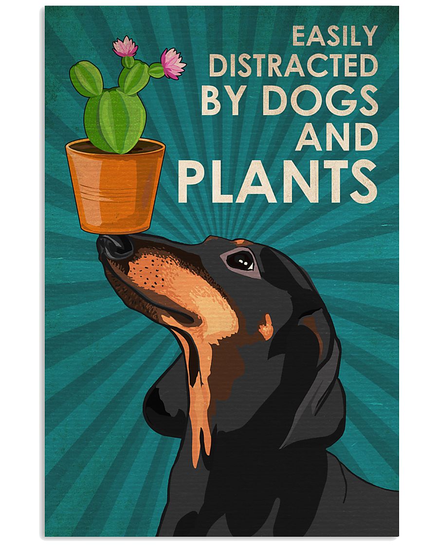 Dog Dachshund And Plants 16x24 Poster