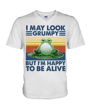 Animal I May Look Grumpy V-Neck T-Shirt tile