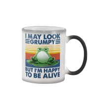 Animal I May Look Grumpy Color Changing Mug tile