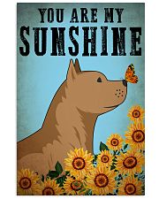 Dog Pitbull You Are My Sunshine 16x24 Poster front