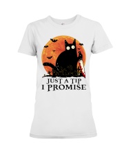 Cat Just A Tip I Promise Premium Fit Ladies Tee tile