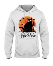 Cat Just A Tip I Promise Hooded Sweatshirt front