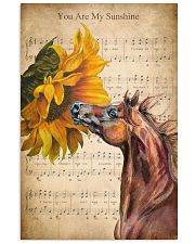 Horse You are my sunshine 24x36 Poster front