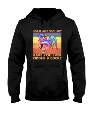 LGBTQ Pride Have You Ever Ridden A Cock Hooded Sweatshirt tile