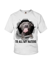 Pitbull To all my haters Youth T-Shirt tile