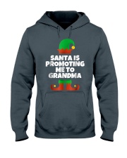 Grandmother Santa Is Promoting Me To Grandma Elf Hooded Sweatshirt front