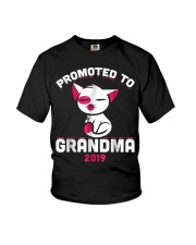 Grandmother Promoted To Grandma 2019 Youth T-Shirt tile