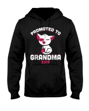 Grandmother Promoted To Grandma 2019 Hooded Sweatshirt tile