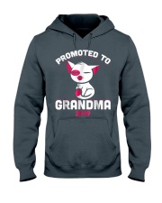 Grandmother Promoted To Grandma 2019 Hooded Sweatshirt front