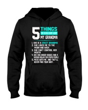 Tshirt Grandmother 5 Things Hooded Sweatshirt tile