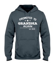Grandmother Promoted To Grandma Again Est 2019 Hooded Sweatshirt front