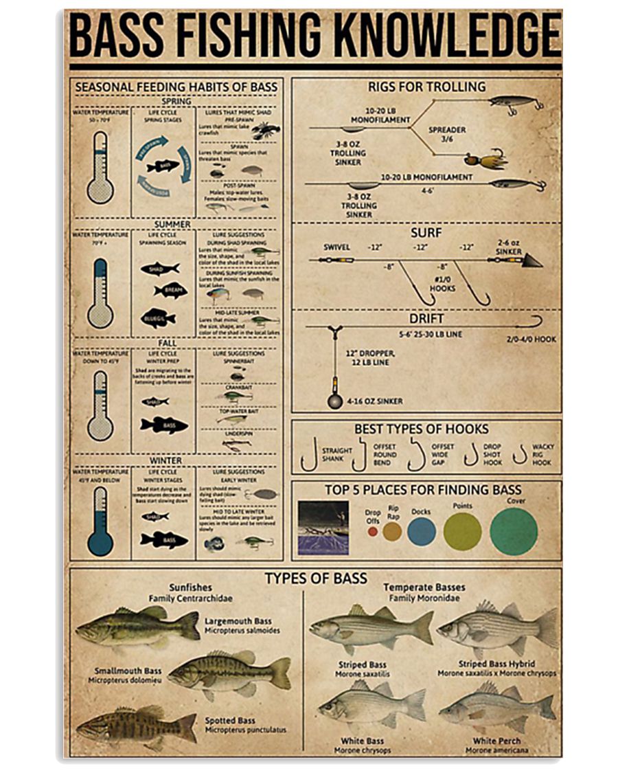 Bass fishing knowledge 16x24 Poster