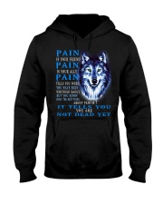 It Tells You Hooded Sweatshirt front