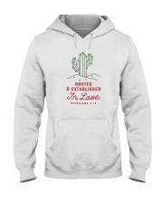 Rooted And Established In Love Hooded Sweatshirt thumbnail