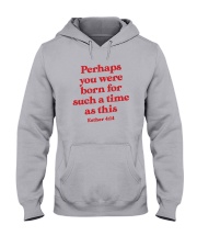 Perhaps You Were Born For Such A Time As This Hooded Sweatshirt thumbnail