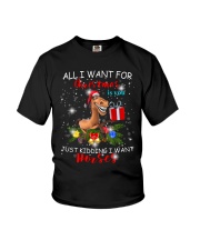HORSE CHRISTMAS Youth T-Shirt thumbnail