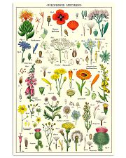 WILDFLOWER SPECIMENS 11x17 Poster front