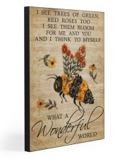 What a wonderful world 20x30 Gallery Wrapped Canvas Prints front