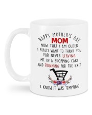 I KNOW IT WAS TEMPTING Mug back
