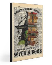 A WITCH WITH A BOOK 20x30 Gallery Wrapped Canvas Prints front