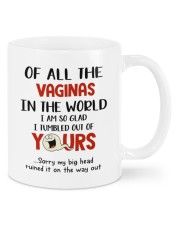 I TUMBLED OUT OF YOURS Mug front