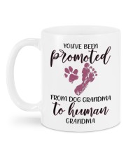 YOU'VE BEEN PROMOTED Mug back