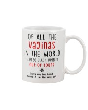 OF ALL THE VAGINAS IN THE WORLD Mug front