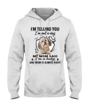 Havanese A Baby Hooded Sweatshirt tile